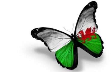 the-renewal-of-hwb-the-all-wales-national-learning-platform