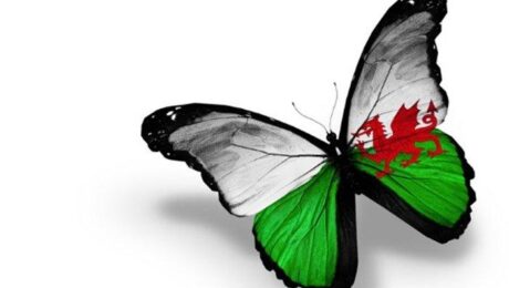 the-renewal-of-hwb-the-all-wales-national-learning-platform